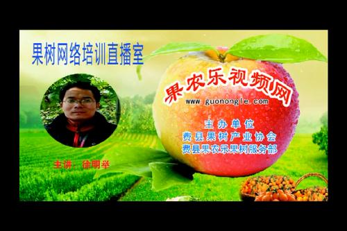 果农乐第82期山楂高效栽培技术南张庄乡晚上讲座