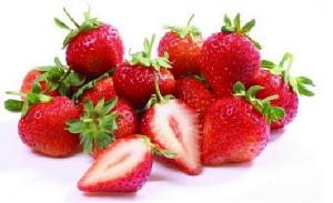 草莓种植方法技术