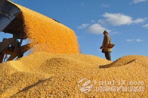 陈章良：粮食安全需要中国农业走出国门